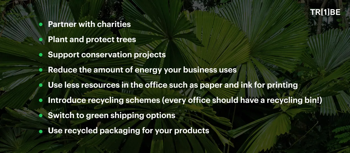The Difficulty Businesses are Facing in the Race to Net Zero