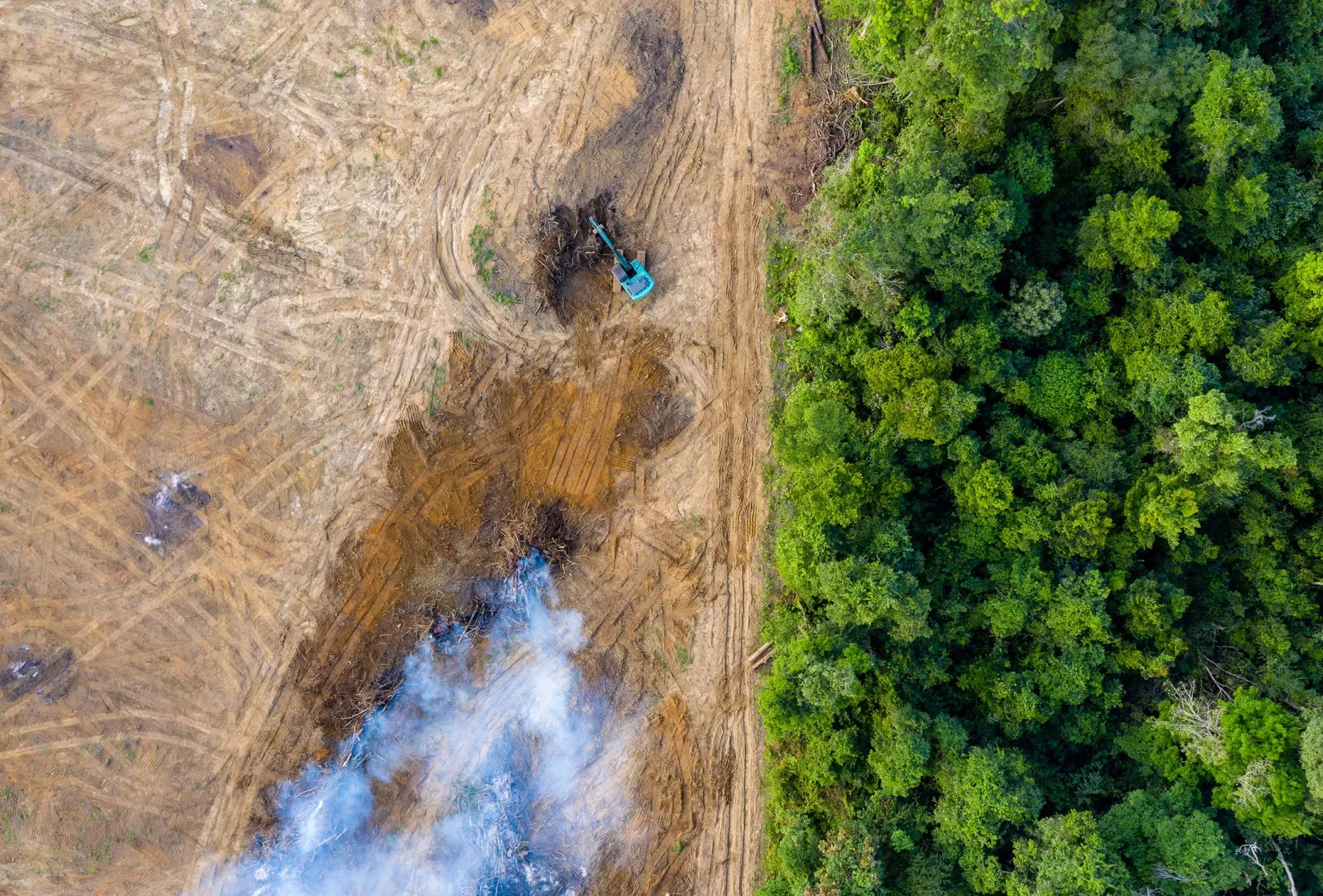 Rainforest Climate Action Fund