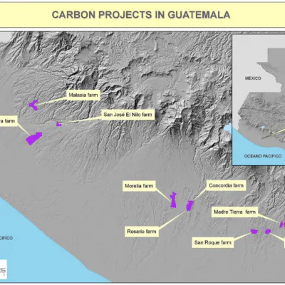 Rubber Forest Reforestation in Guatemala
