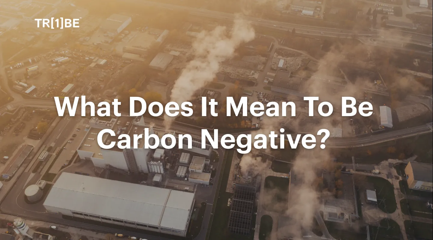 What Does It Mean To Be Carbon Negative?