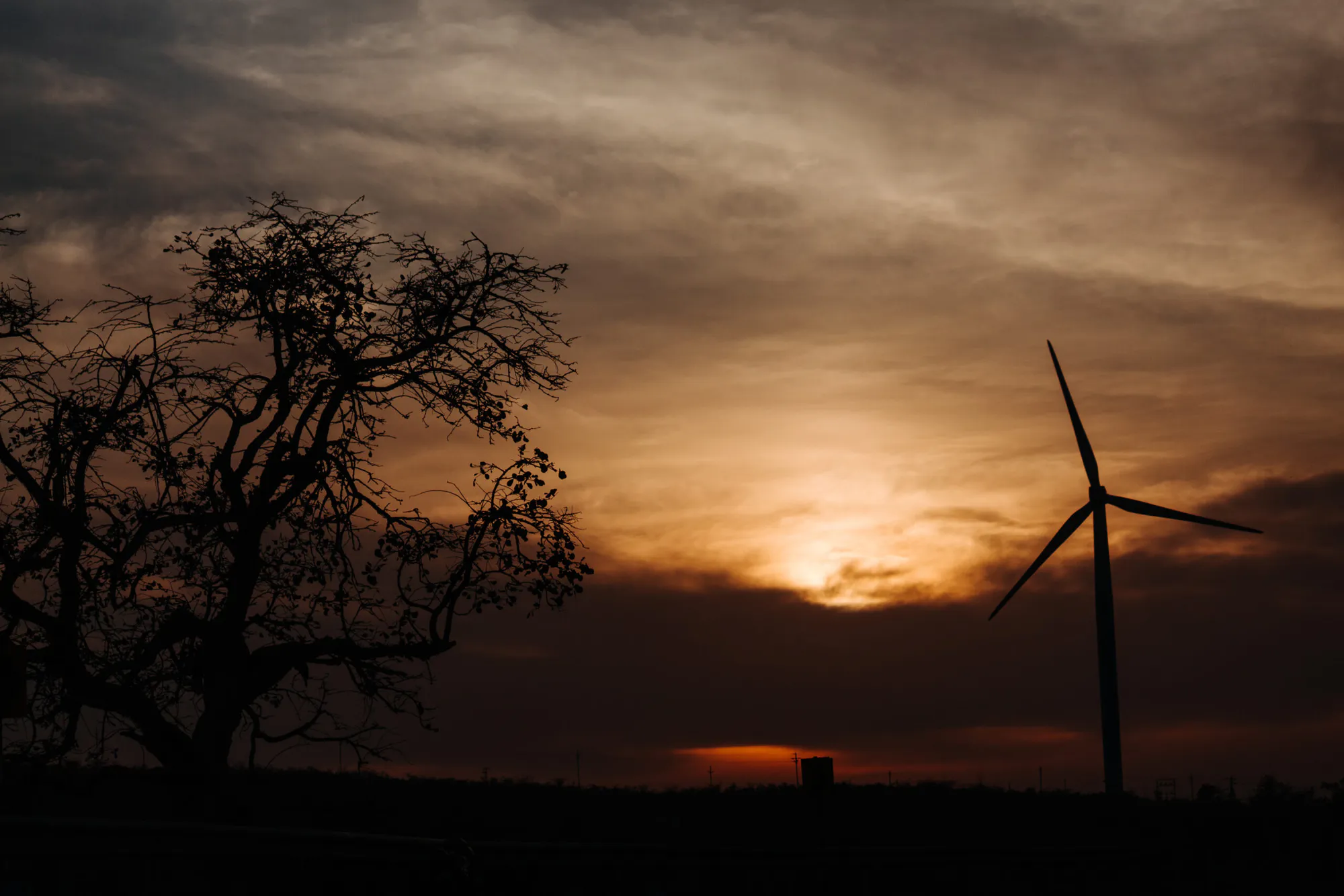 Renewable Wind Power in India