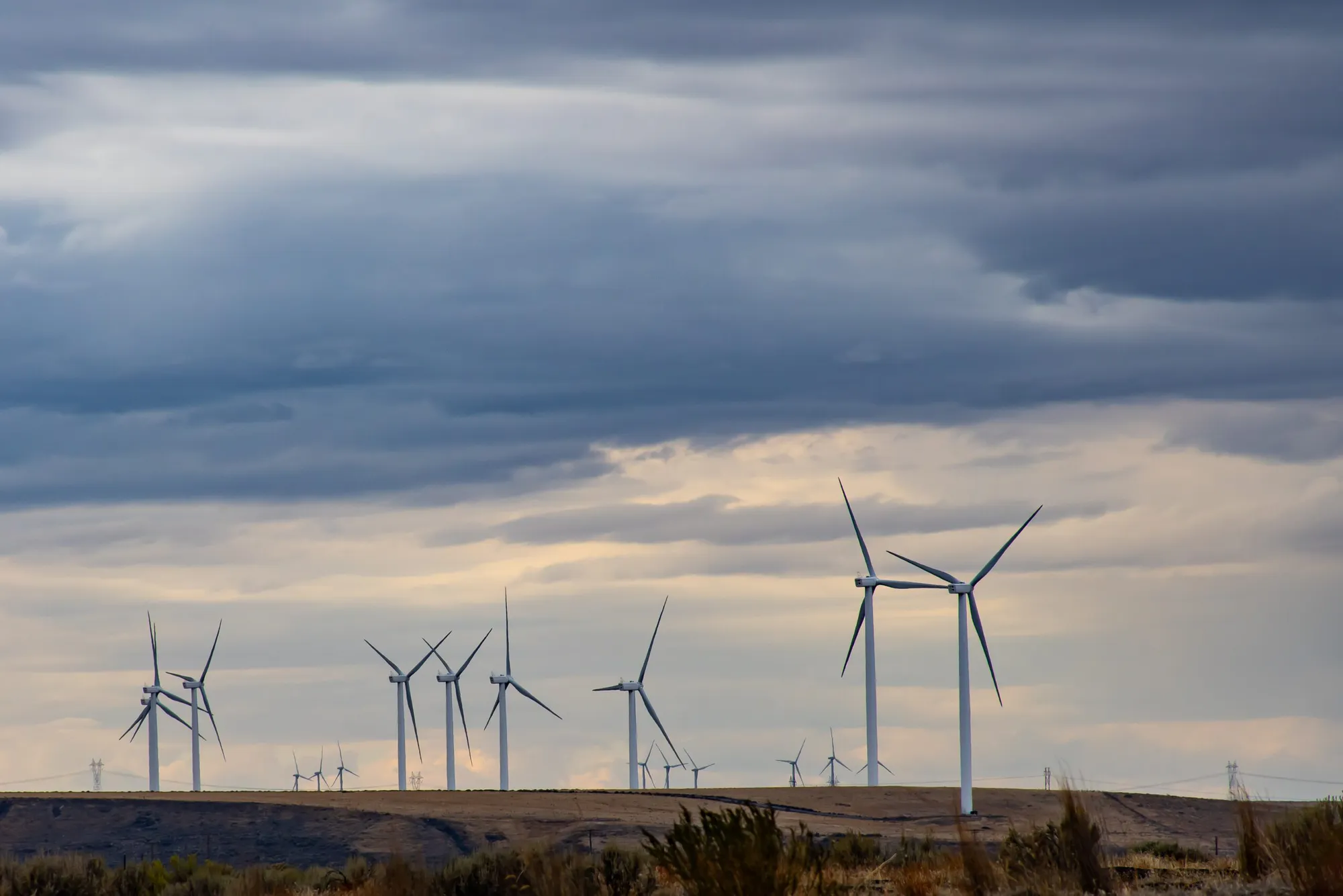 Tropical Wind Renewable Energy