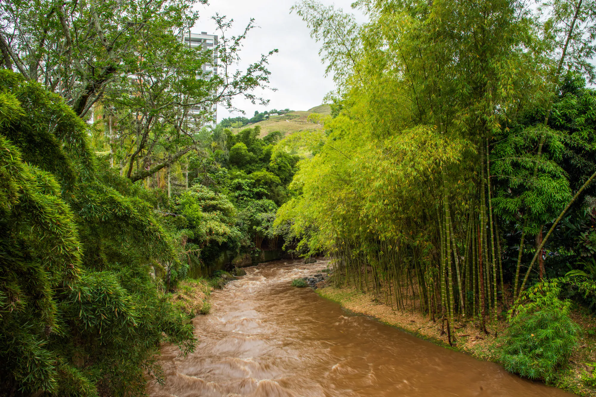 Safeguarding Colombia’s Forests and Coastal Ecosystems