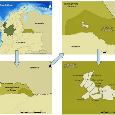 Restoration of Degraded Areas and Reforestation in Cáceres and Cravo Norte, Colombia