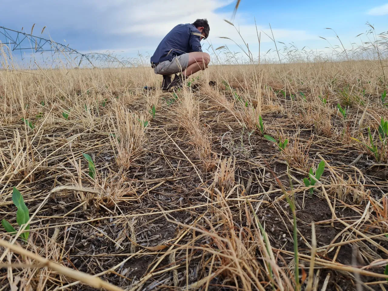 Orizon CarbonCrop Rewards Programme, South Africa