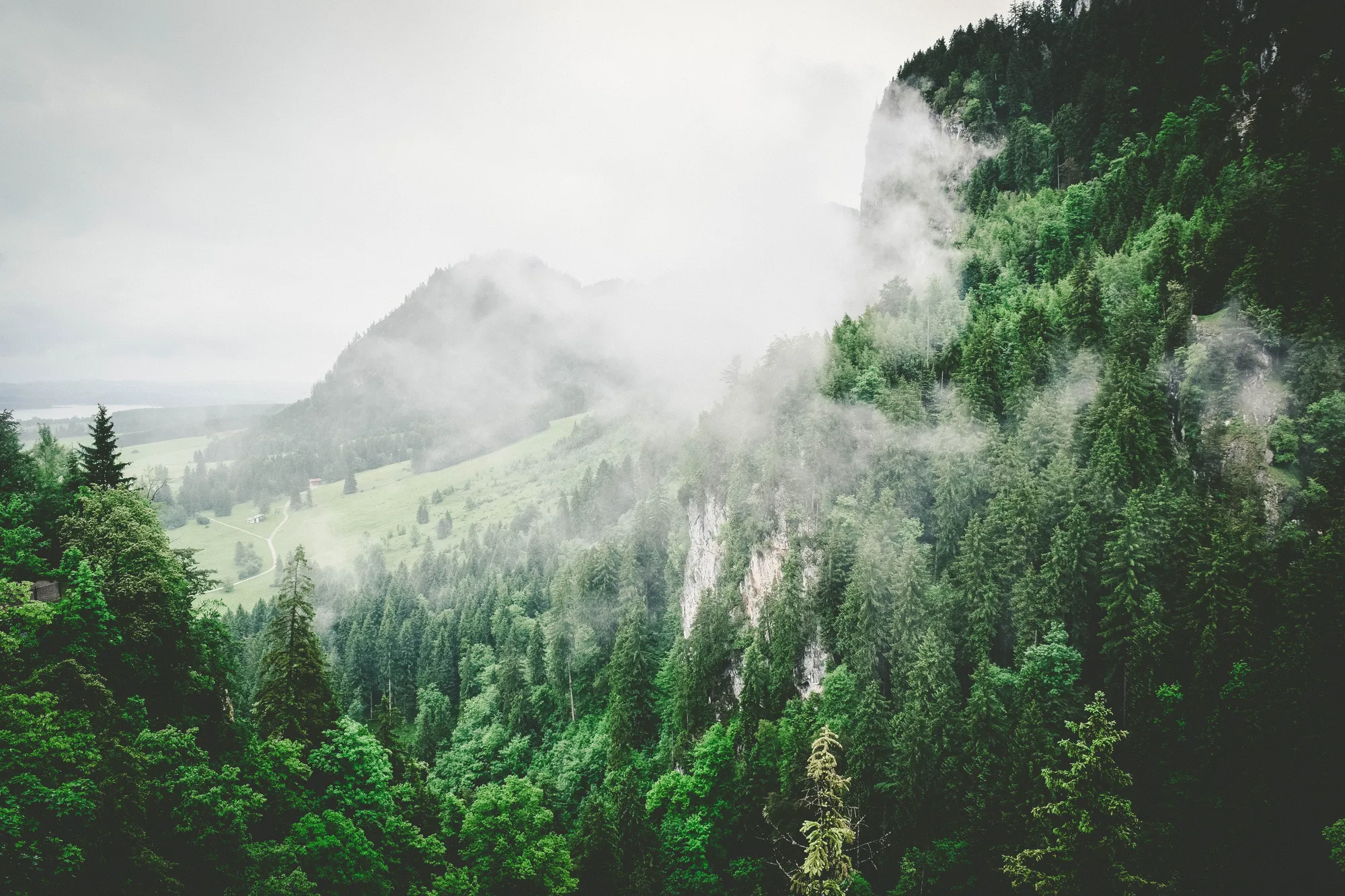 What Are Carbon Offsets? Everything You Need To Know