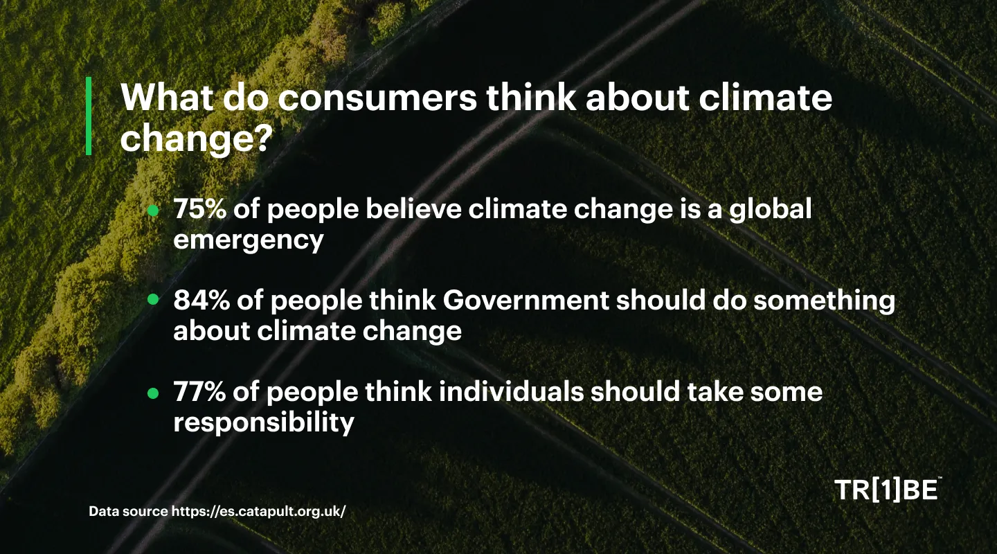 Consumer Expectations Towards Decarbonisation And Net Zero