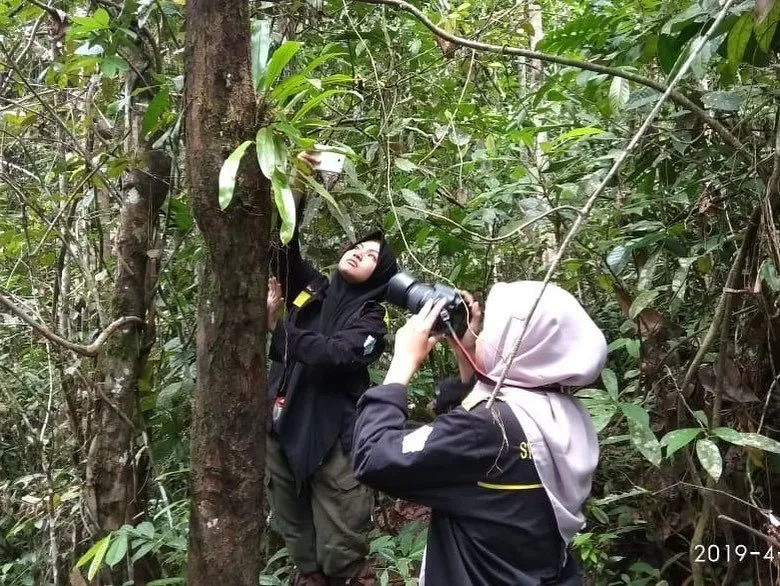 Protect the Leuser Ecosystem on the island of Sumatra