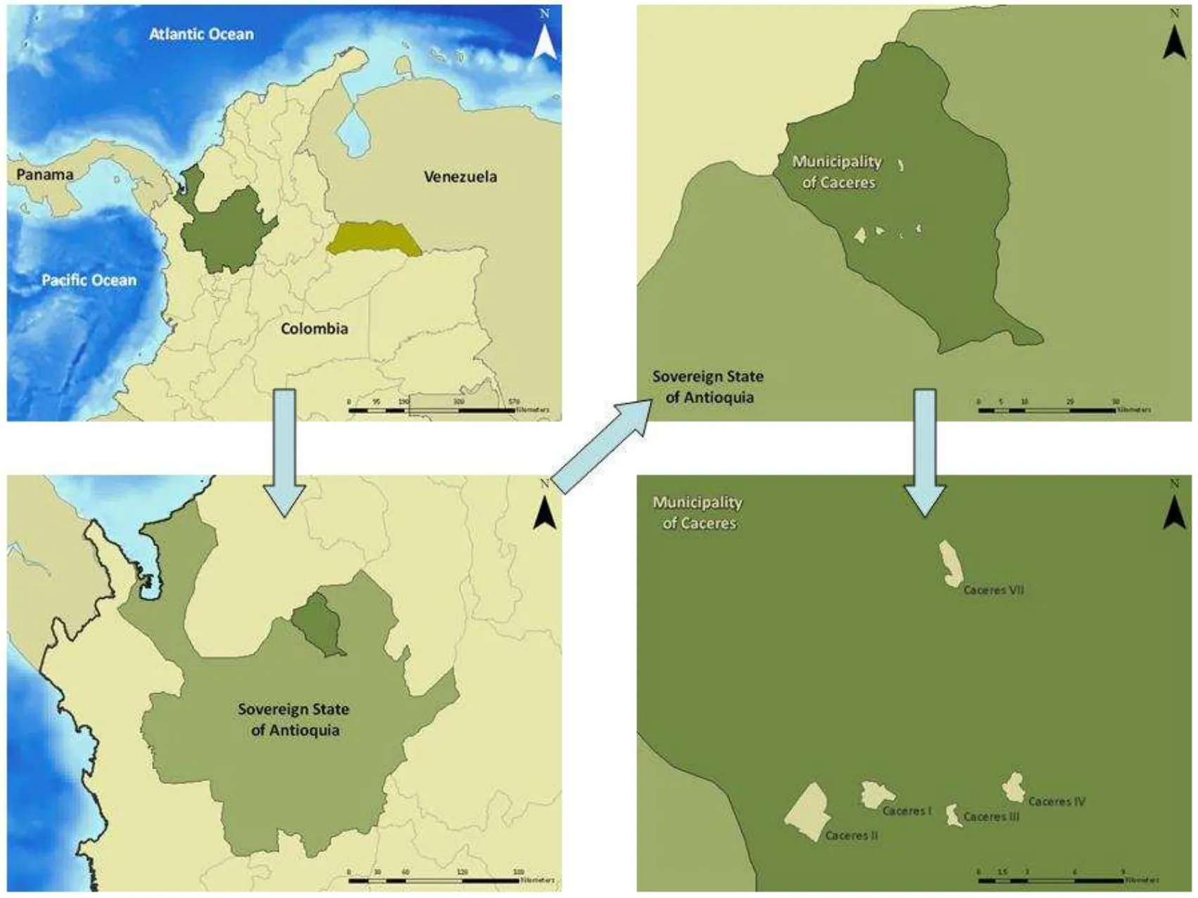 Restoration of Degraded Areas and Reforestation in Cáceres and Cravo Norte, Colombia
