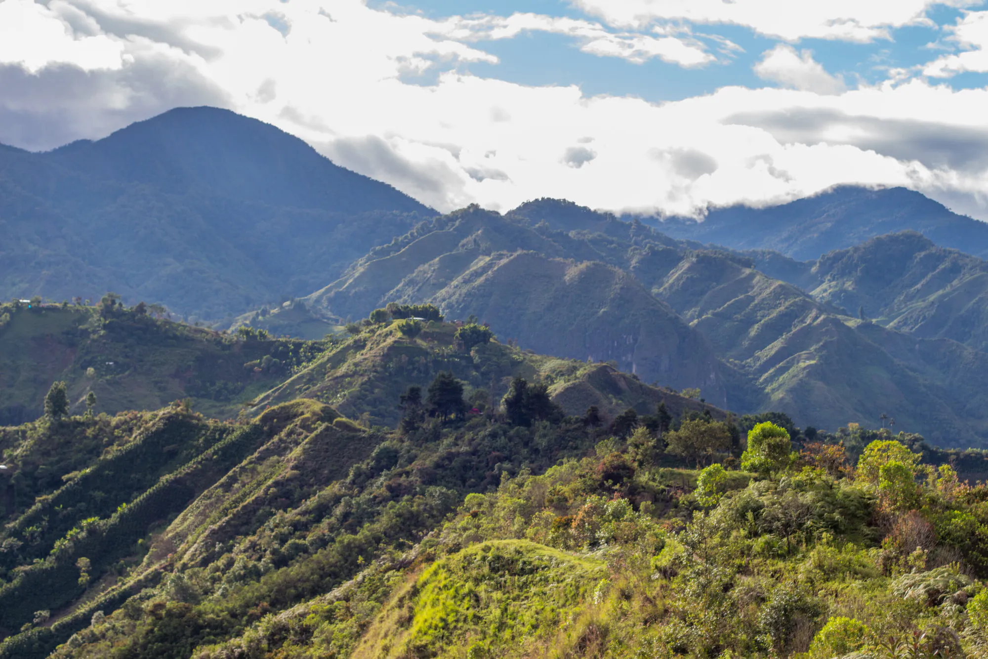 Safeguarding Colombia’s Forests and Coastal Ecosystems