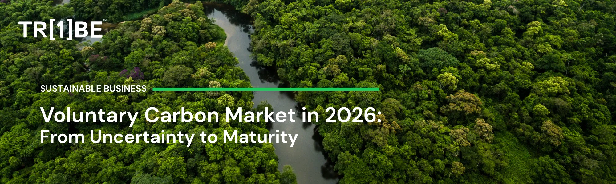 Voluntary Carbon Market in 2026: From Uncertainty to Maturity