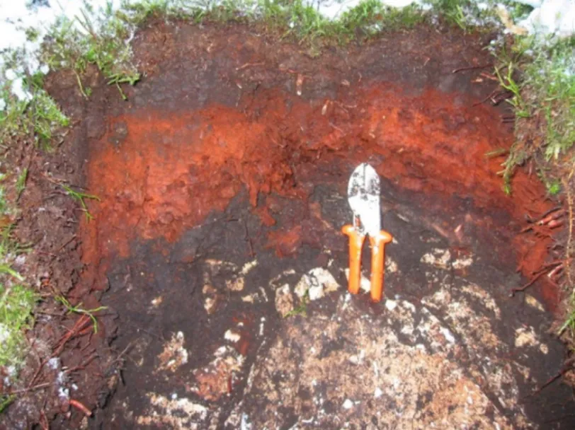 Cultivating Carbon: Regenerating East Africa’s Soils