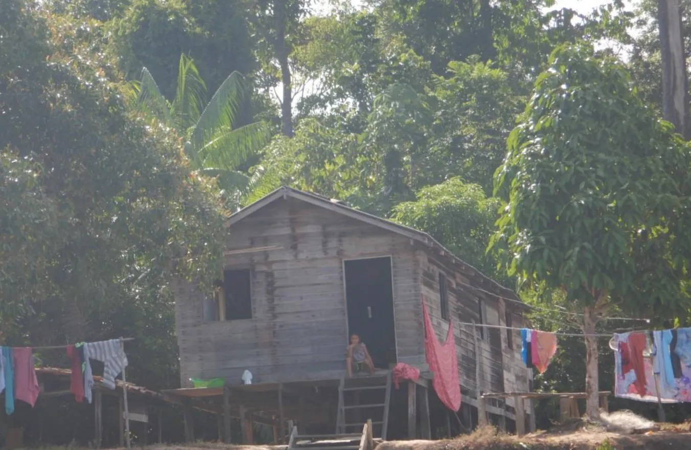 Rio Anapu-Pacaja REDD+ Project