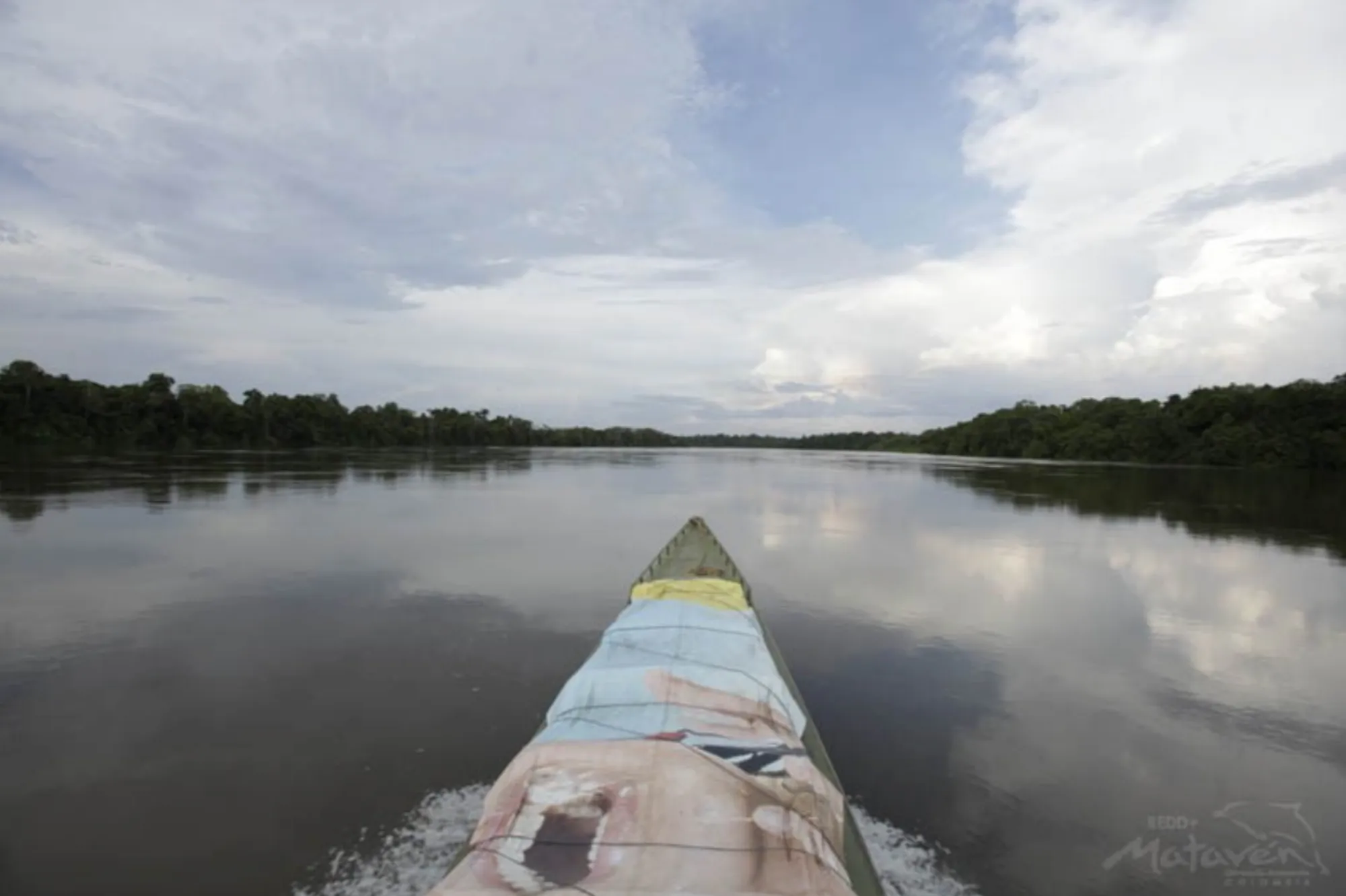 Mataven Jungle Indigenous Guardianship Project