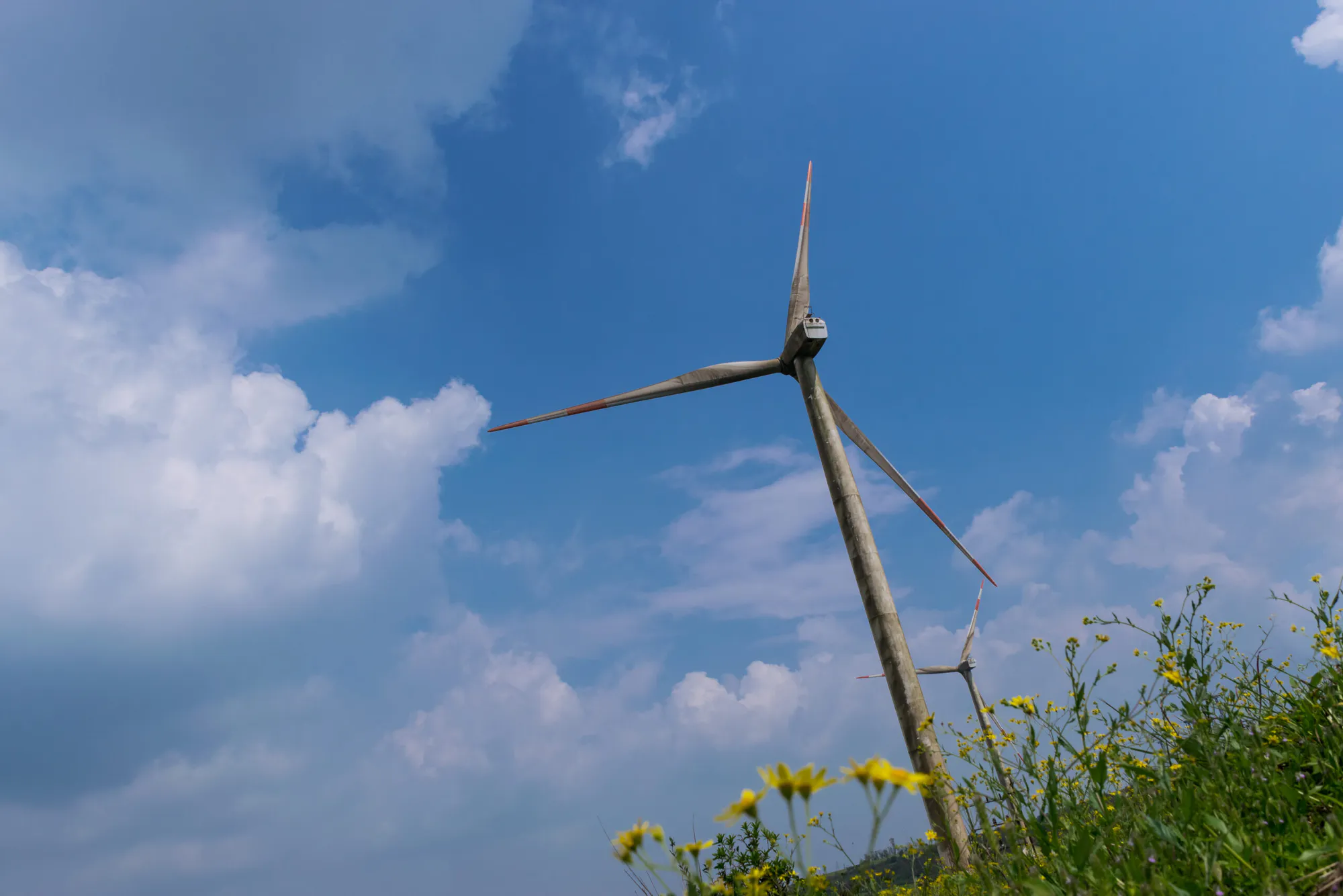 India Wind Power Project