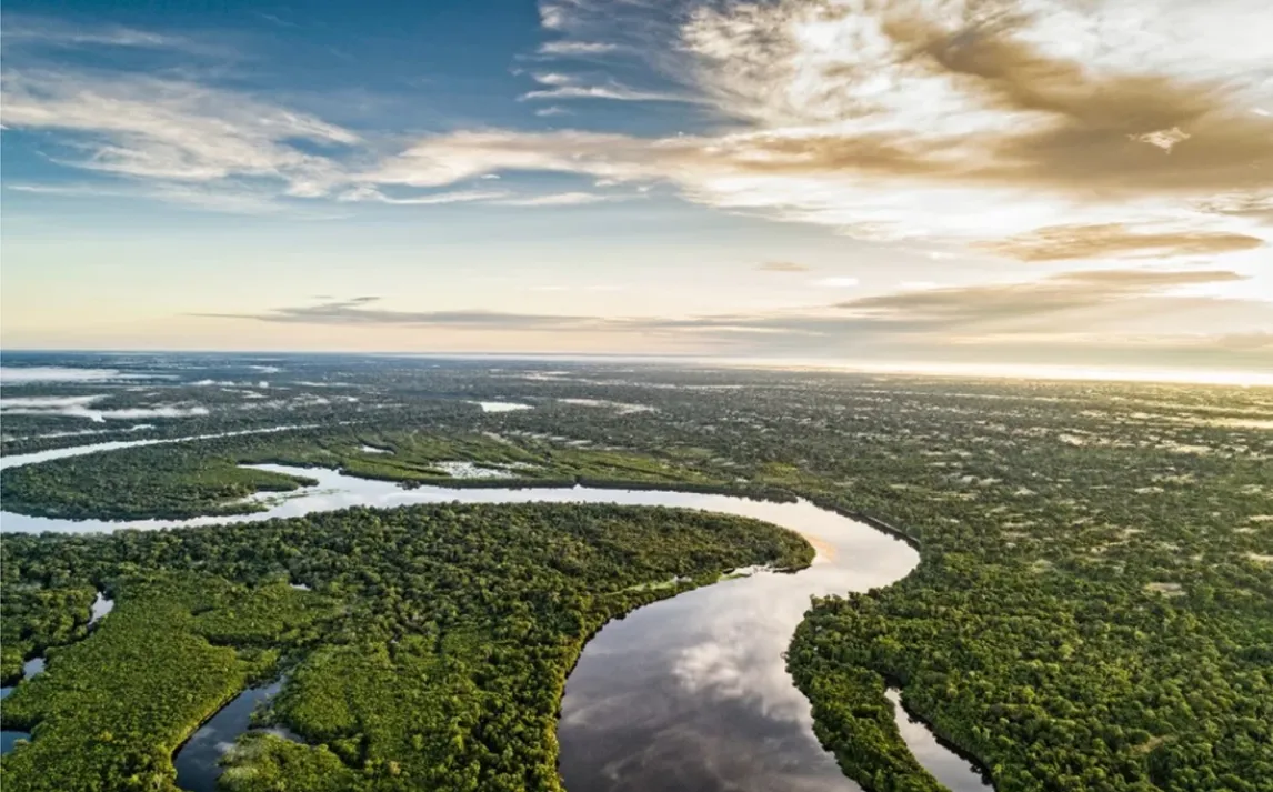 Highlighting The Positives Of The Carbon Market