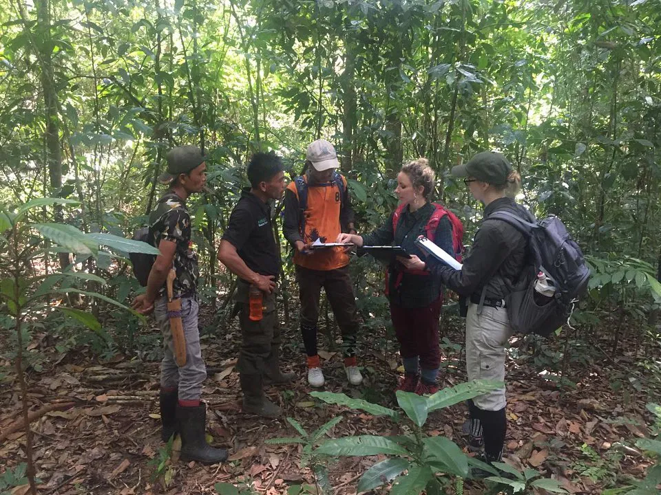 Protect the Leuser Ecosystem on the island of Sumatra