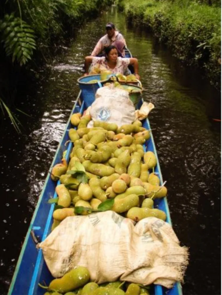Biodiversity and wetlands reserve project