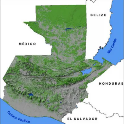 Rubber Forest Reforestation in Guatemala