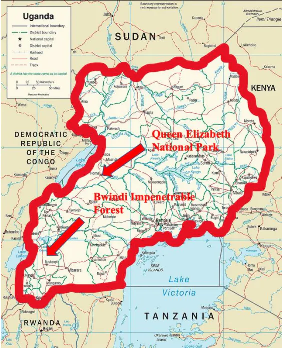 Time Tested Forestation in Uganda