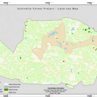 Reforestation of Degraded Grasslands in Uchindile & Mapandaarbon