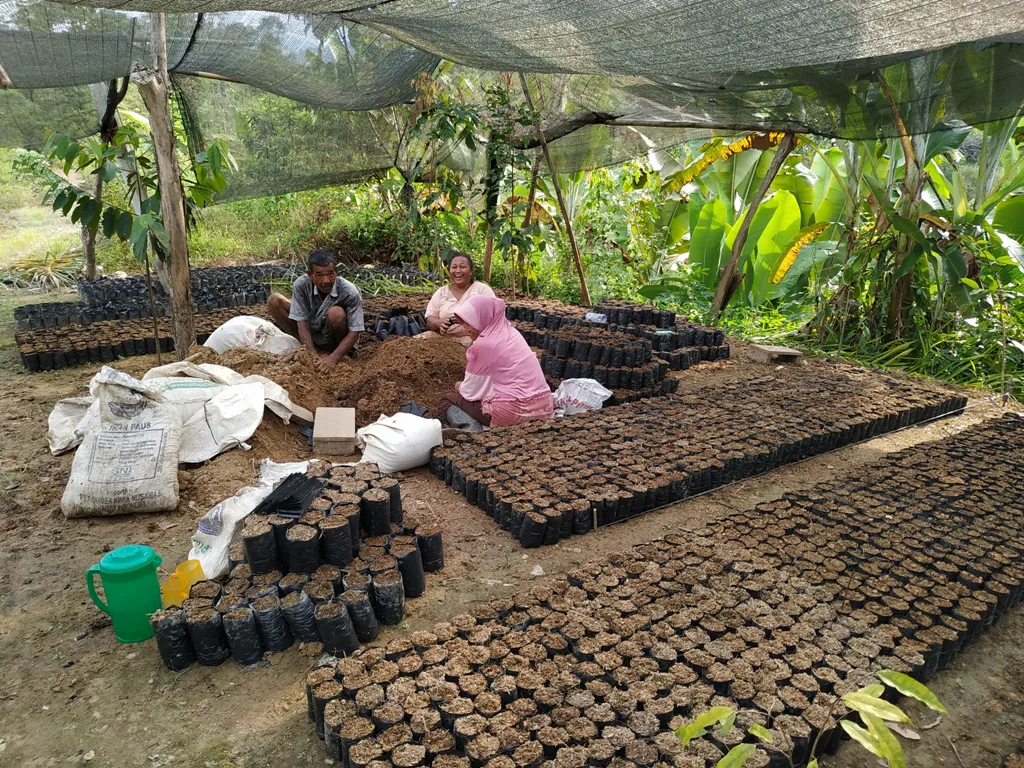Protect the Leuser Ecosystem on the island of Sumatra