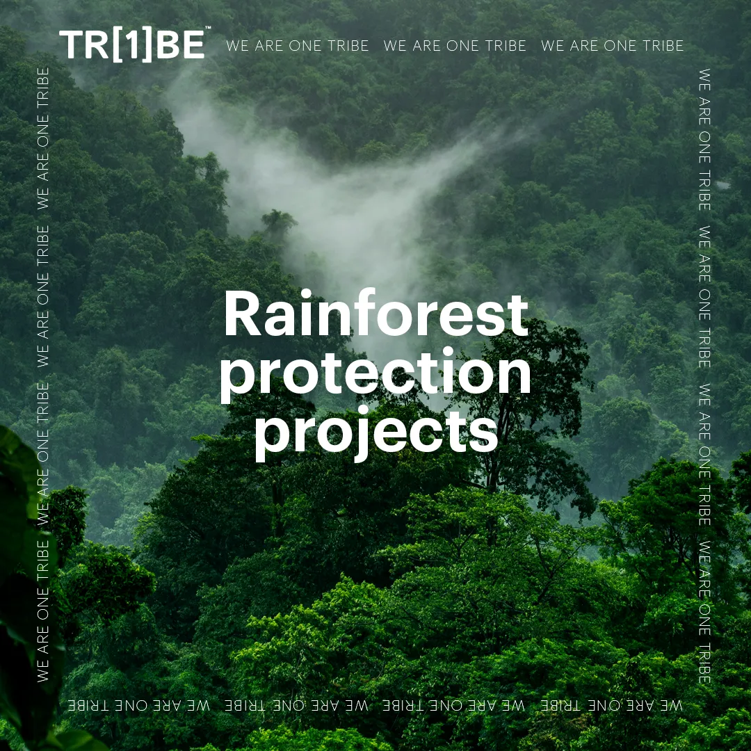 11 Incredible Trees that are Worth Saving the Planet For
