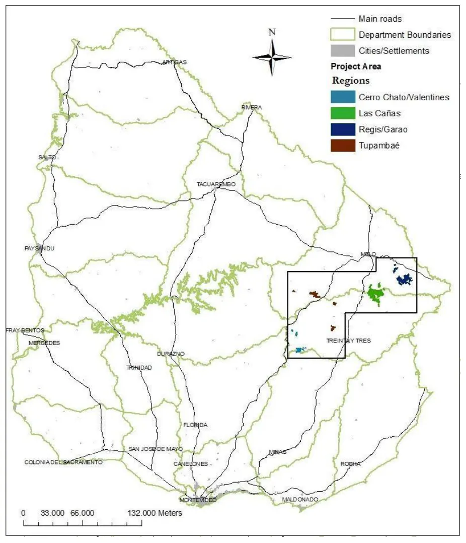 Reforestation of Degraded Grasslands in Uruguay