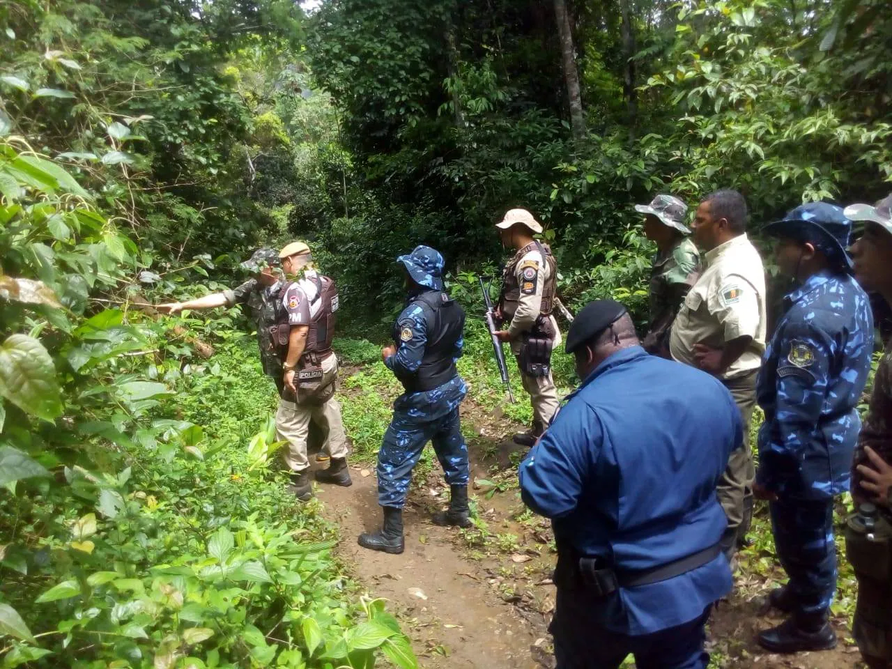 Protect biodiverse Atlantic Forest in Brazil’s Serra Bonita Mountain Range