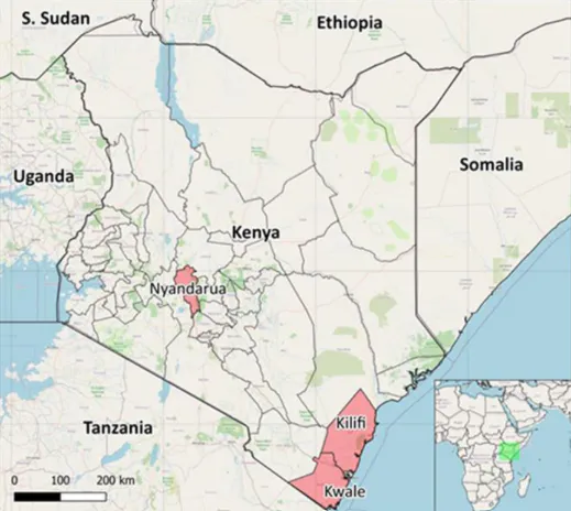 Komaza Smallholder Farmer Forestry Kenya