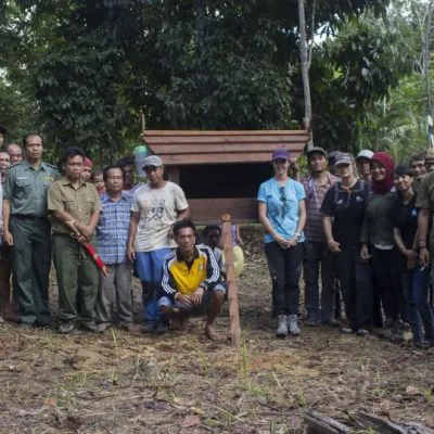 Orangutan Protection in West Kalimantan