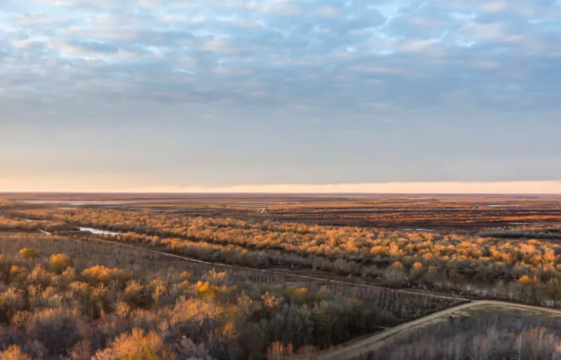 GreenTrees ACRE – Advanced Carbon Restored Ecosystem Project