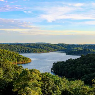 GreenTrees ACRE – Advanced Carbon Restored Ecosystem Project