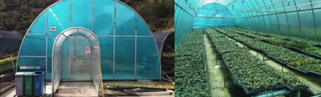 Yagual – Conservation, Restoration, Carbon Sequestration Grouped Project