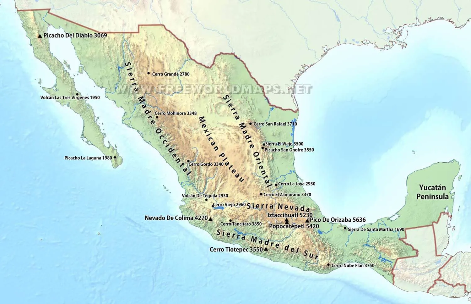 Protect Mexico’s Monarch Corridor in the Sierra Madre Oriental mountains