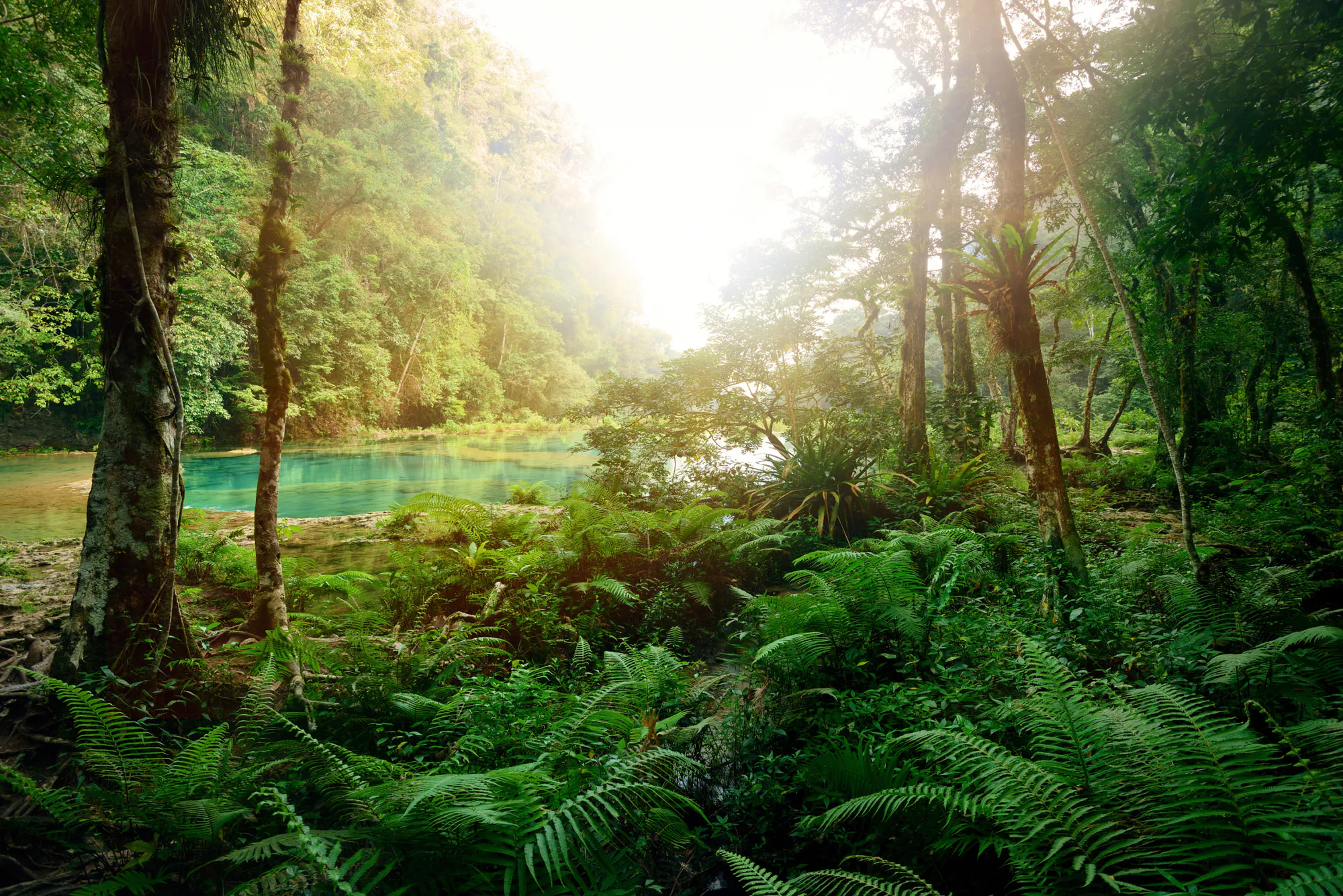 Expanding the Los Tities de San Juan Reserve