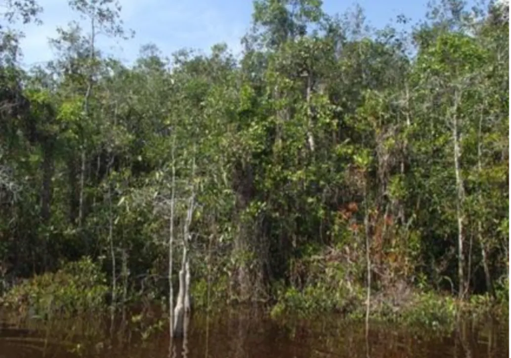 Biodiversity and wetlands reserve project