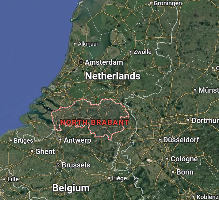 Growing a Greener Future: Paulownia Carbon Sequestration in The Netherlands
