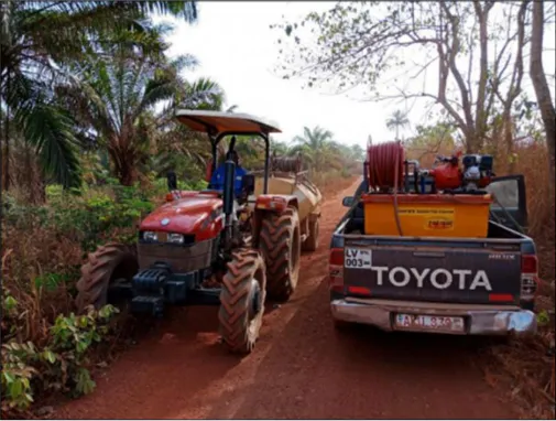 Reforestation of Degraded Forest Reserve Areas in Ghana, West Africa
