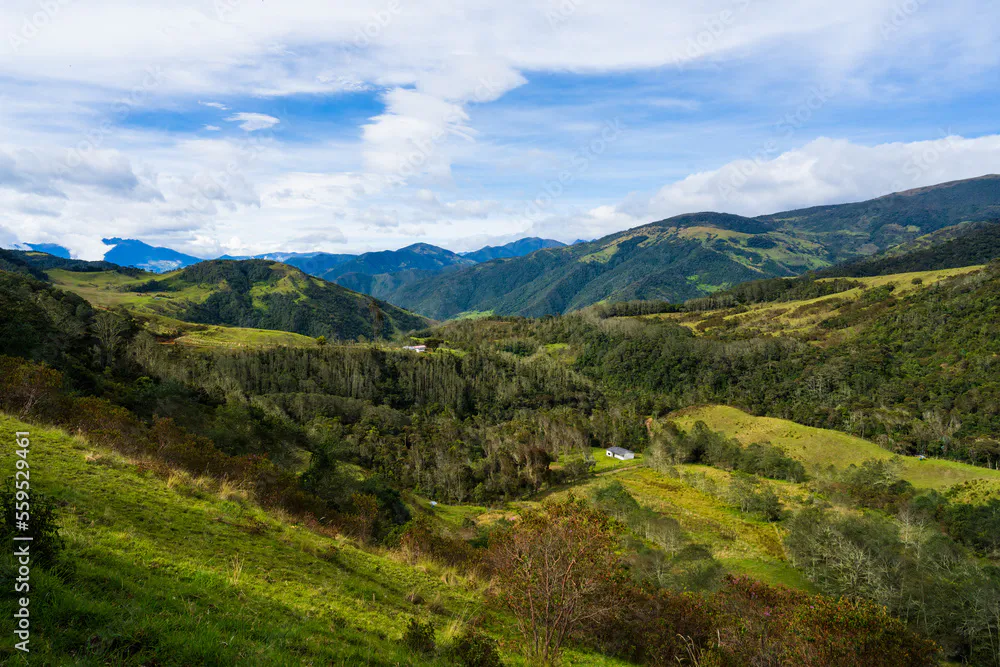 Safeguarding Colombia’s Forests and Coastal Ecosystems
