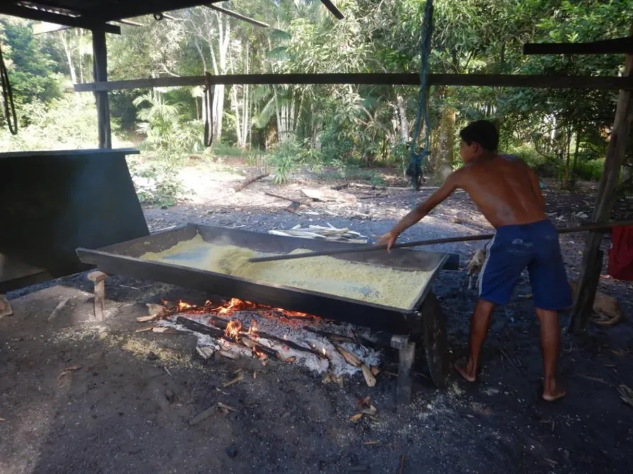 Rio Anapu-Pacaja REDD+ Project