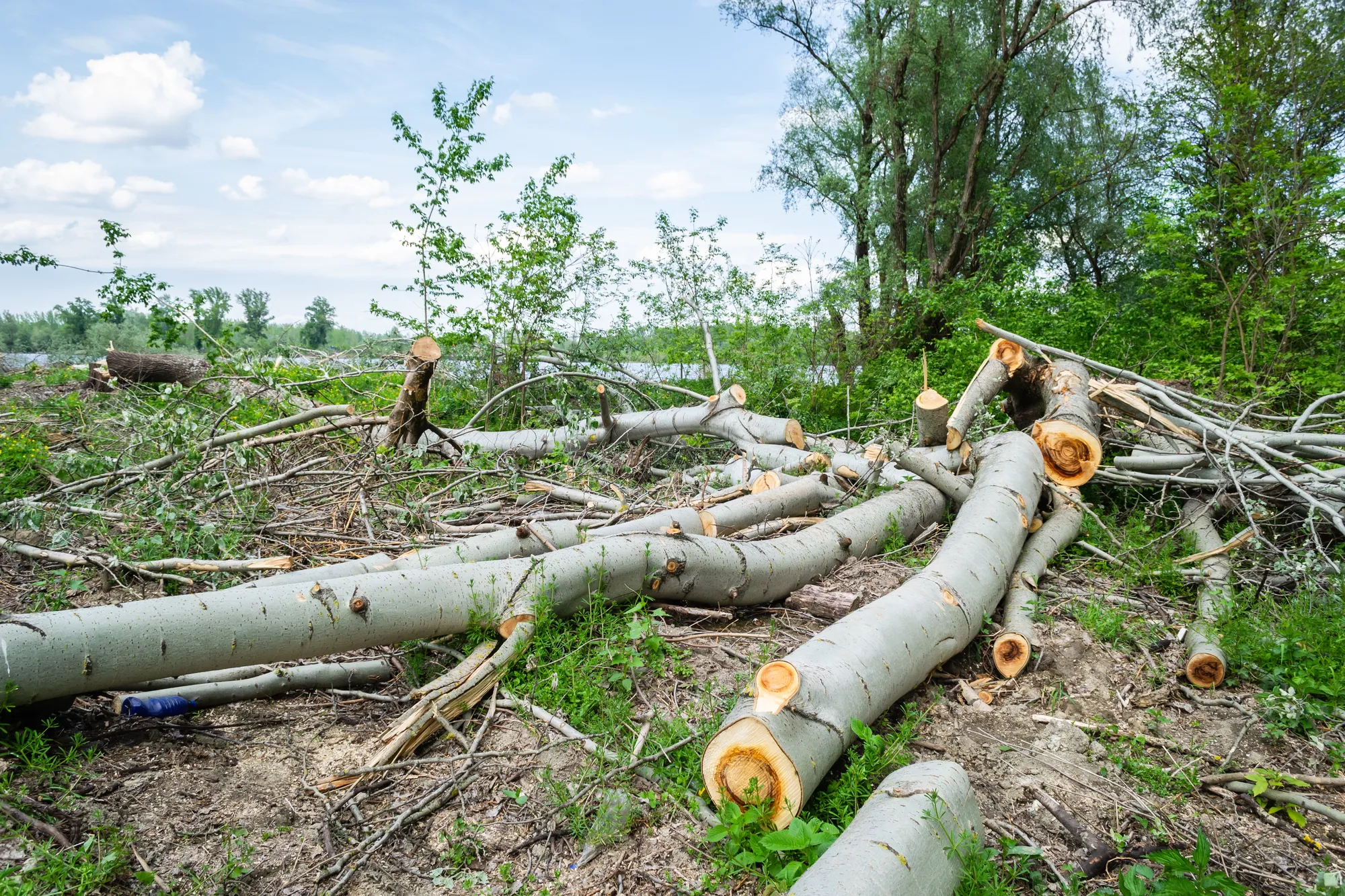 How Your Money Is Financing Climate Change