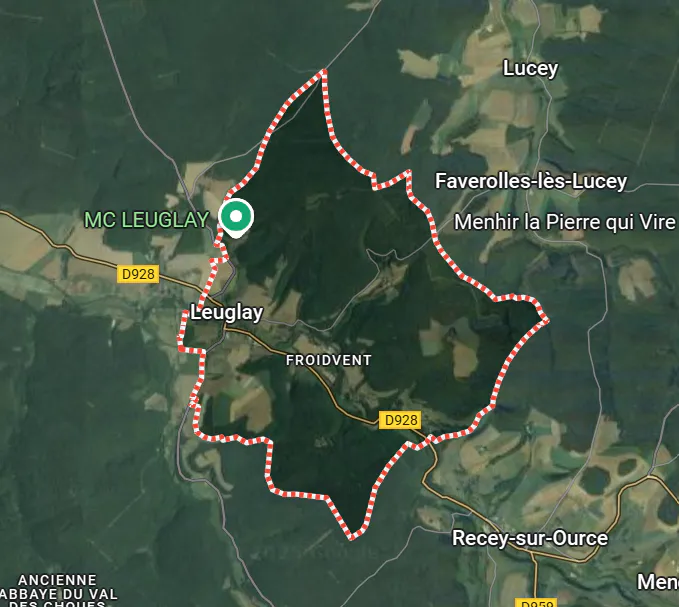 Biochar for Carbon Storage in Leuglay, France