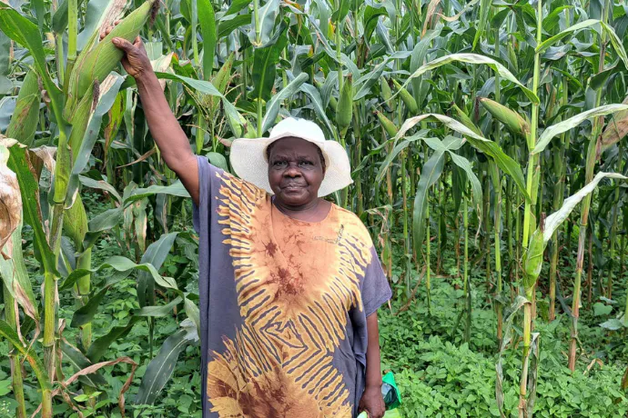 Cultivating Carbon: Regenerating East Africa’s Soils