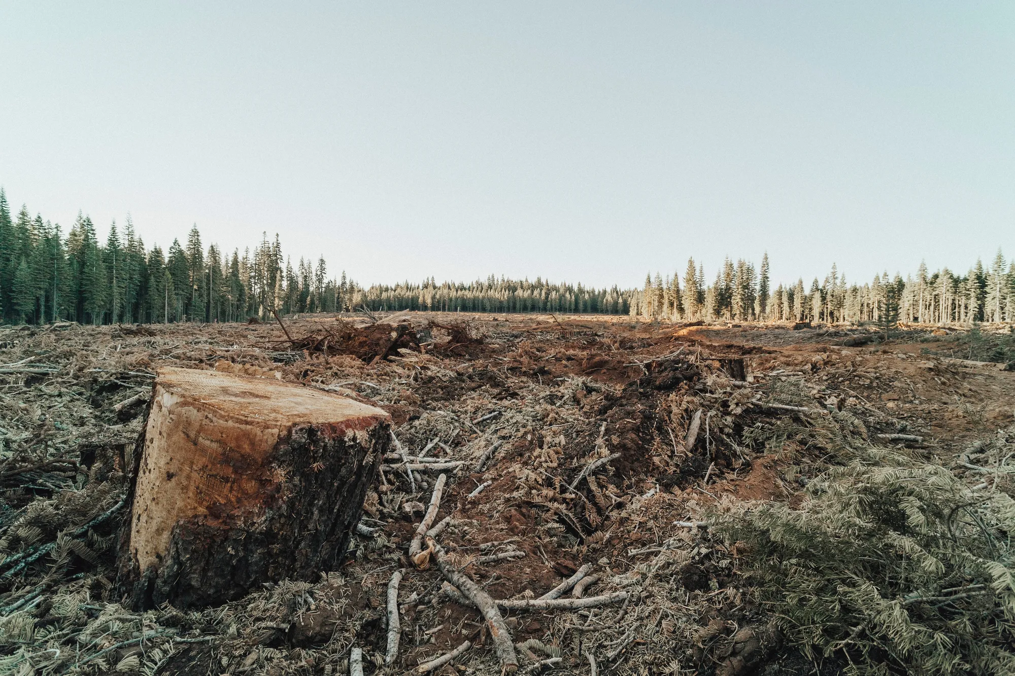 How Your Money Is Financing Climate Change