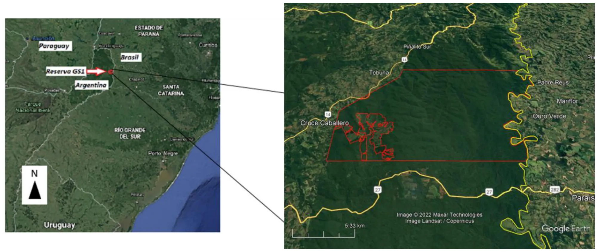 Parana Rainforest Restoration