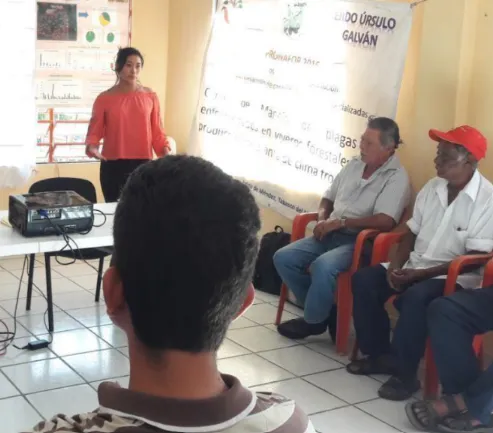 Mangrove Restoration in Mexico – Manglares Ursulo Galvan