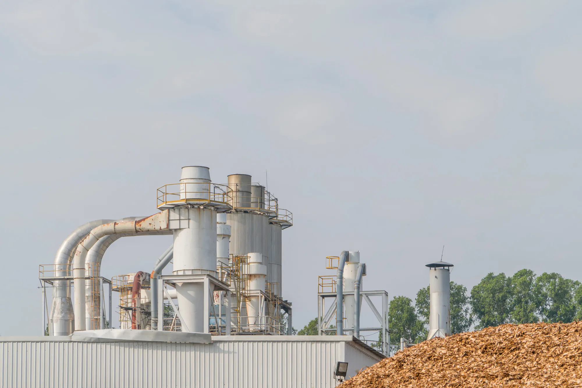 Rieden Biochar for Carbon Removal and Soil Regeneration