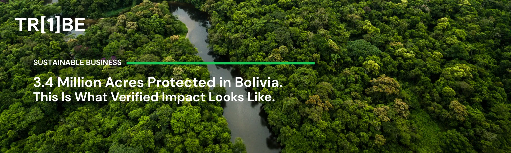 3.4 Million Acres Protected in Bolivia. What This Means for the Amazon