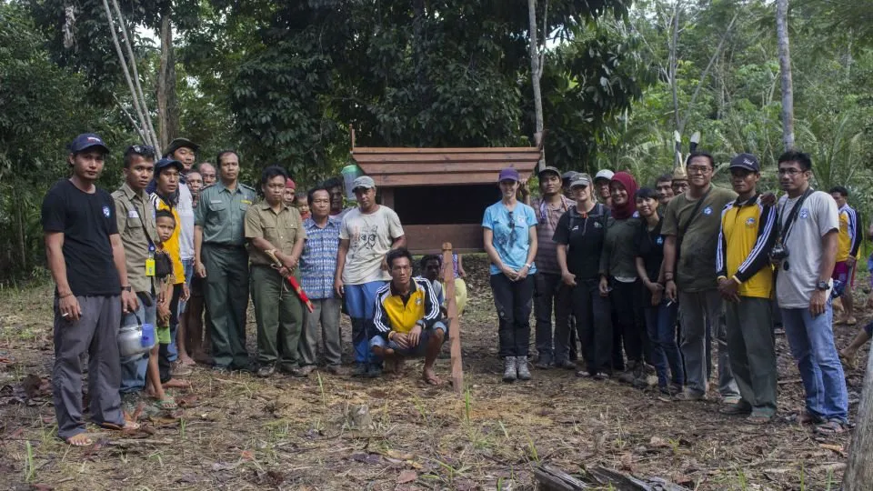 Orangutan Protection in West Kalimantan